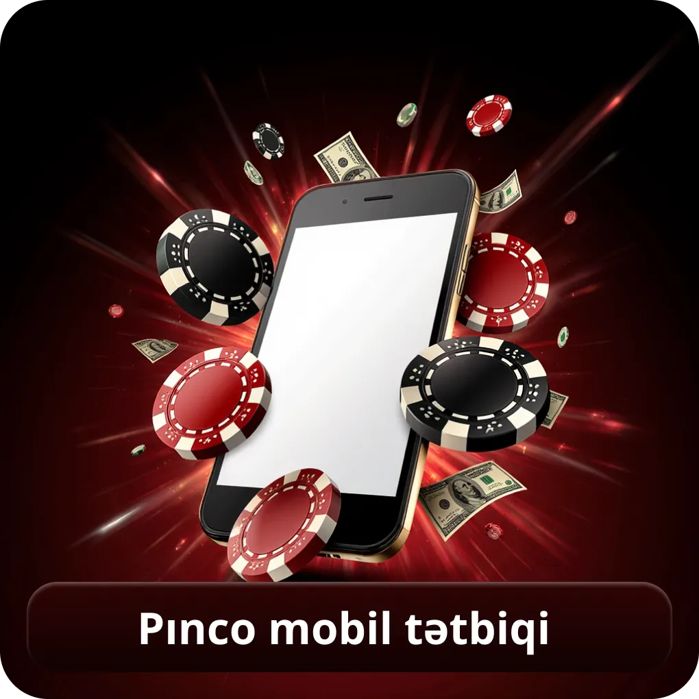 Pınco mobil tətbiqi